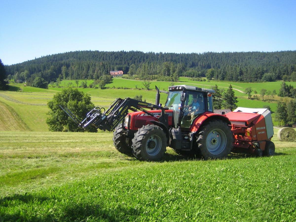 Vila Ferienbauernhof-Holops Sankt Georgen im Schwarzwald Exteriér fotografie
